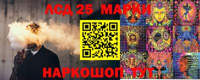 индика Кулебаки