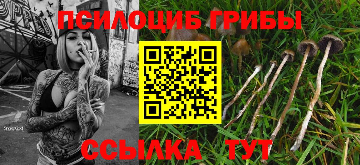 Псилоцибиновые грибы прущие грибы Ипатово